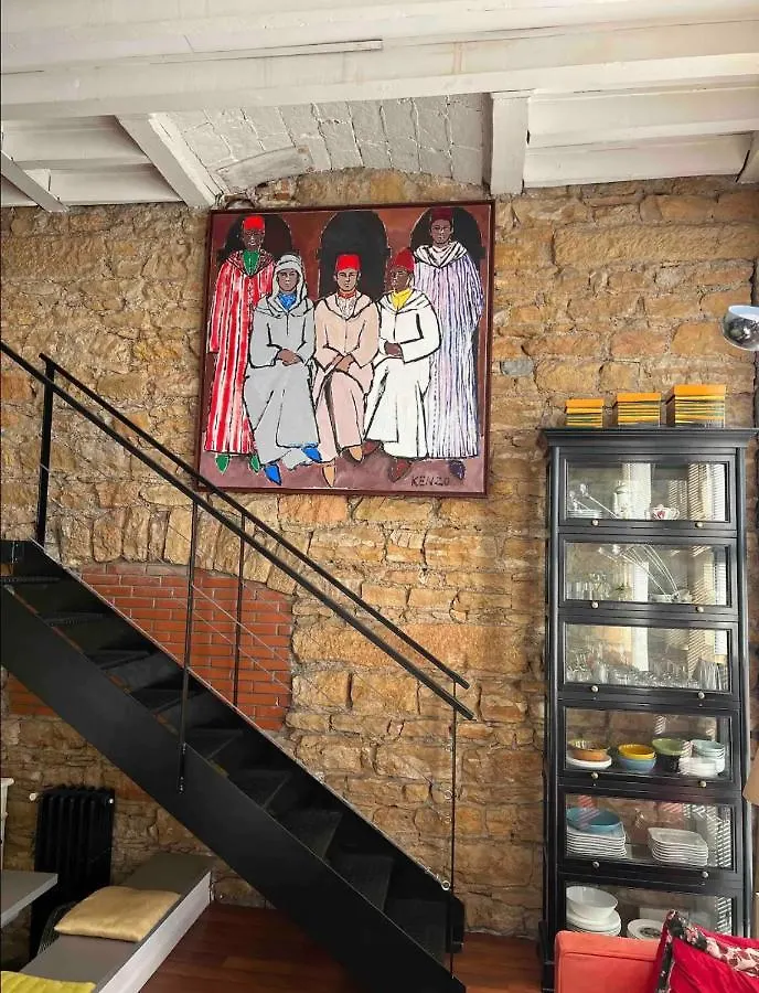 리옹 Loft Sur Saone 아파트 프랑스