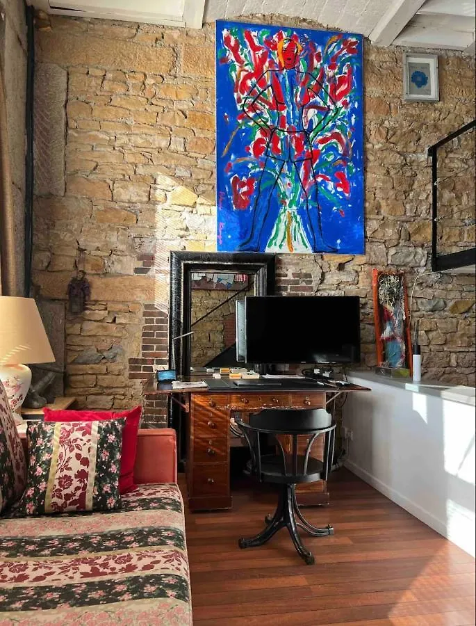 Appartement Loft Sur Saone à Lyon France